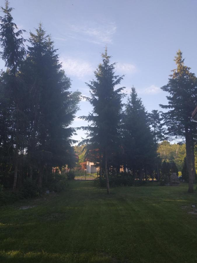 Nostalgia noclegi Olsztyn  Zewnętrze zdjęcie